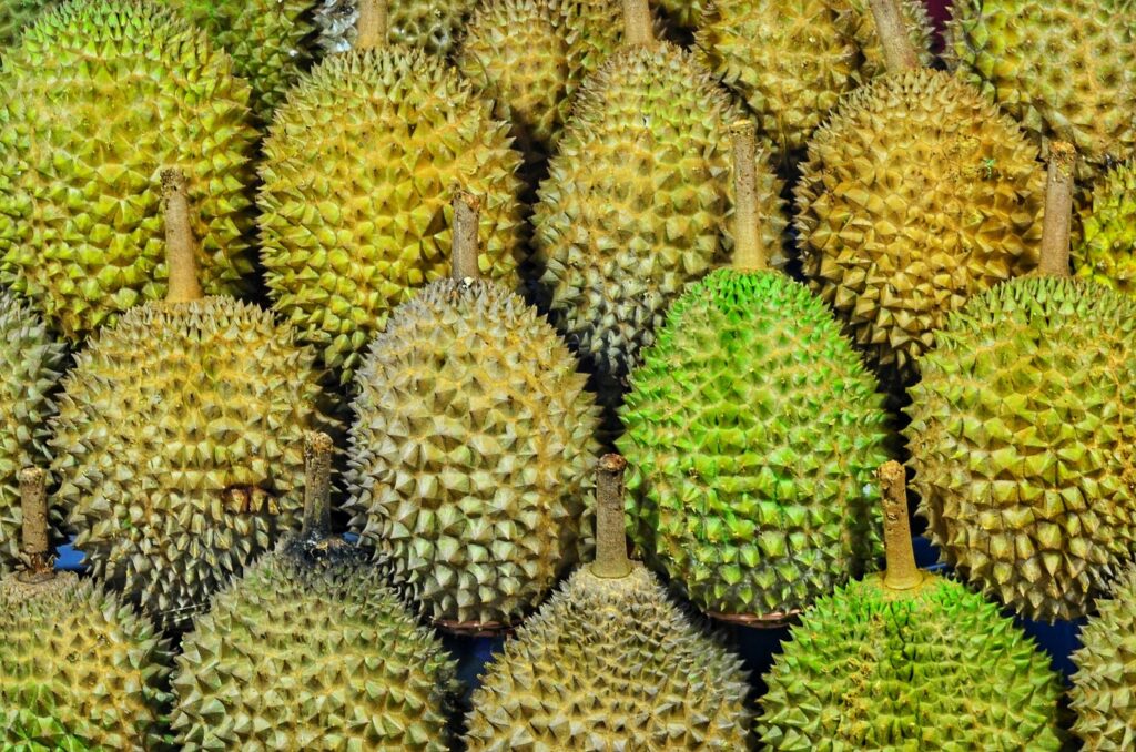 Durian Meyvesi